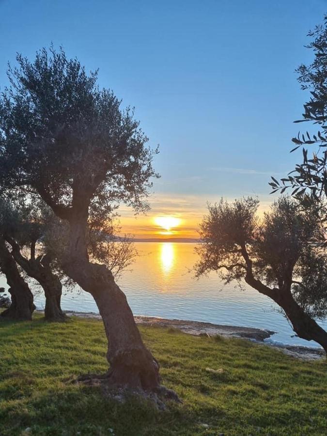 Casa Vacanza Gargano Carpino Bagian luar foto